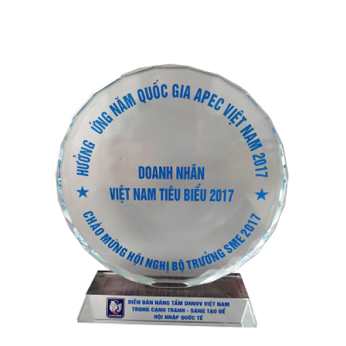 V. Thành tựu của công ty
